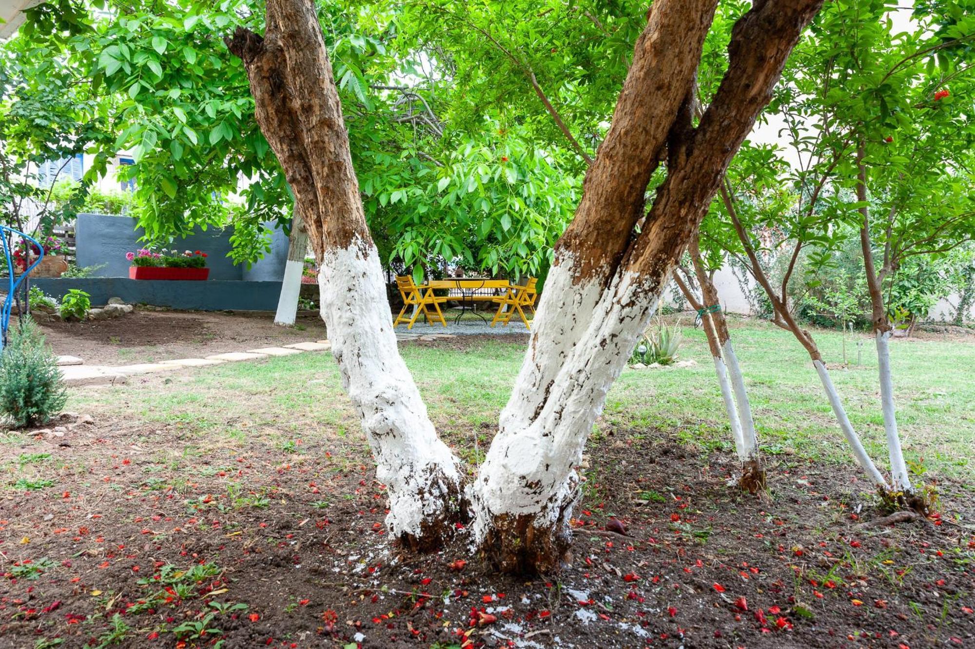 Stavros Summer House Villa Nea Fokea Ngoại thất bức ảnh
